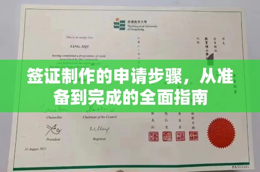 台安签证制作的申请步骤，从准备到完成的全面指南
